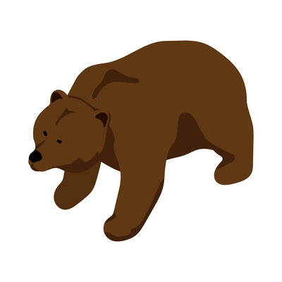 Isometric brown bear on white background 3d vector illustration