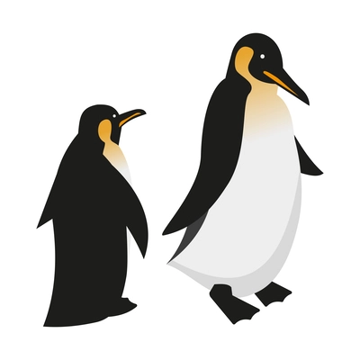 Two king penguins isometric 3d vector illustration