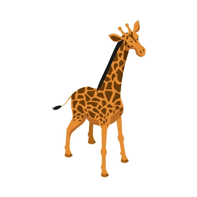 Isometric giraffe on white background 3d vector illustration