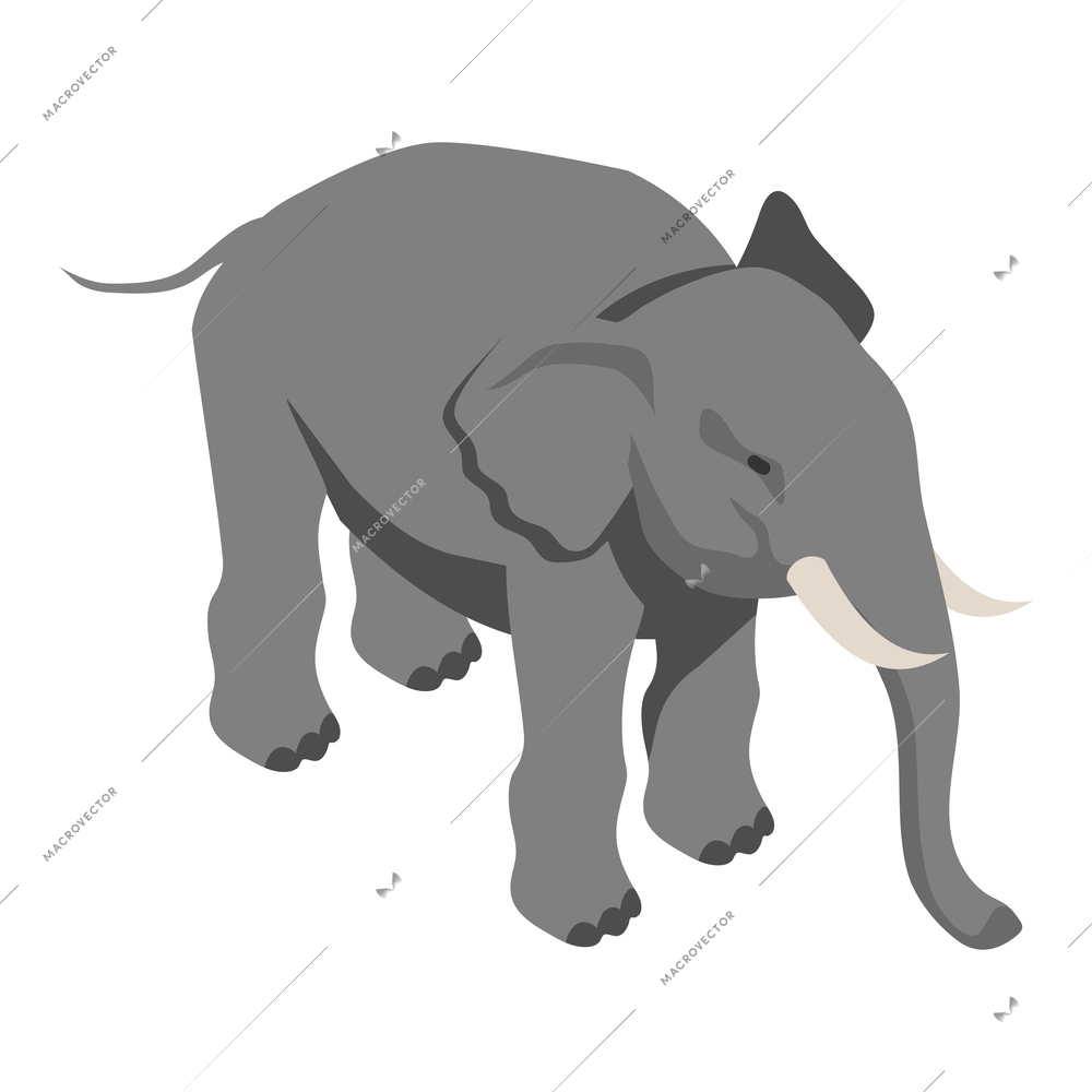 Grey elephant on white background 3d isometric vector illustration