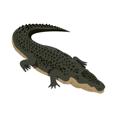 Isometric crocodile against white background 3d vector illustration