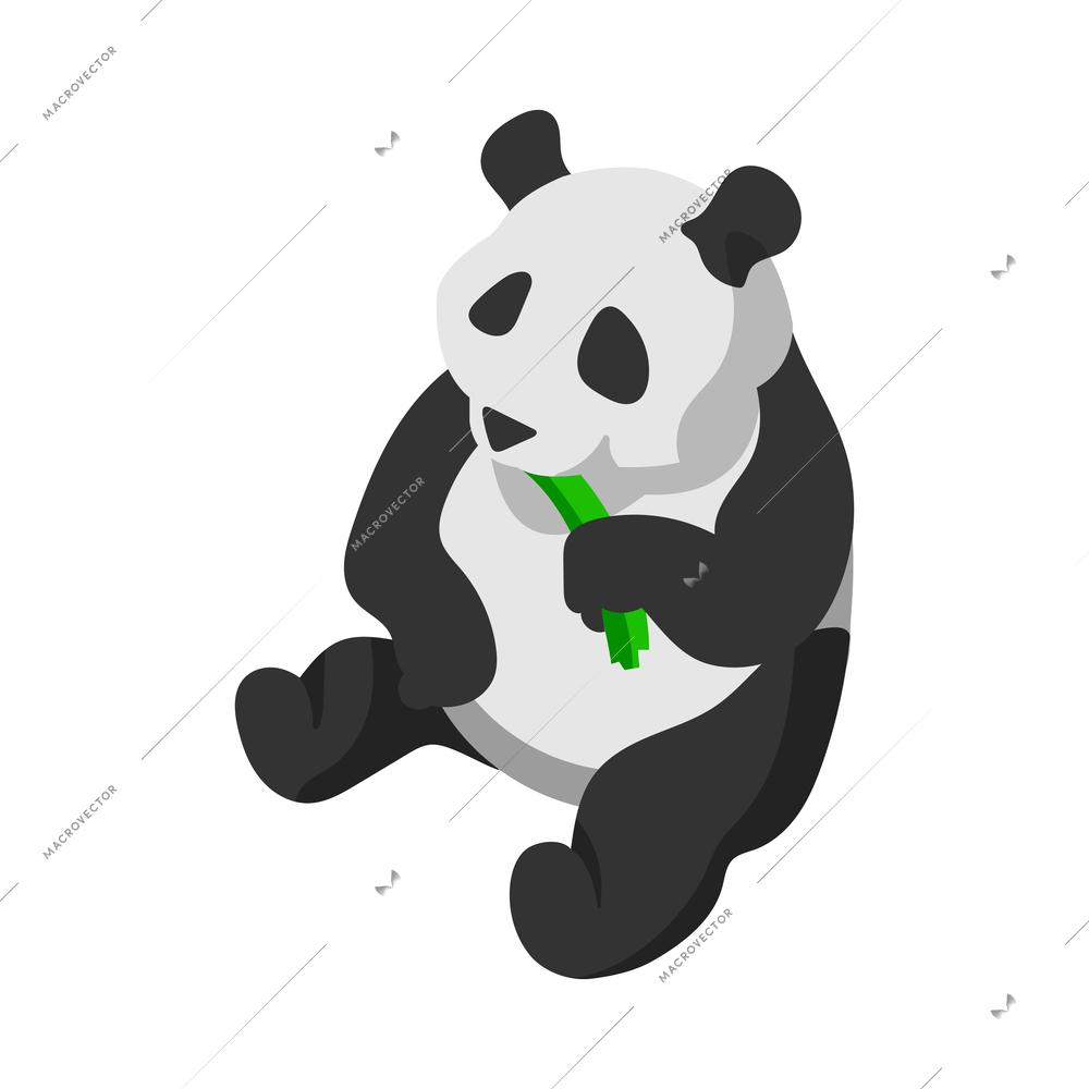 Isometric panda eating bamboo 3d vector illustration