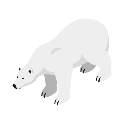 Isometric polar bear on white background 3d vector illustration