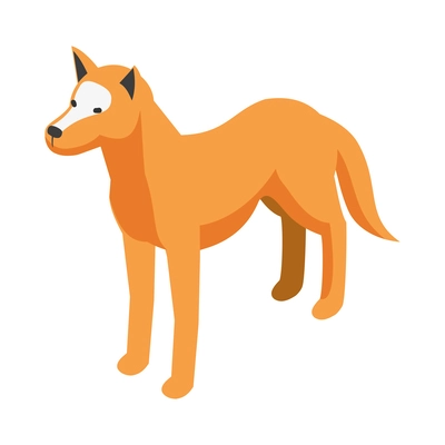 Isometric dingo dog on white background 3d vector illustration