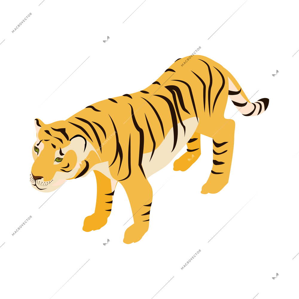 Color tiger isometric icon on white background 3d vector illustration