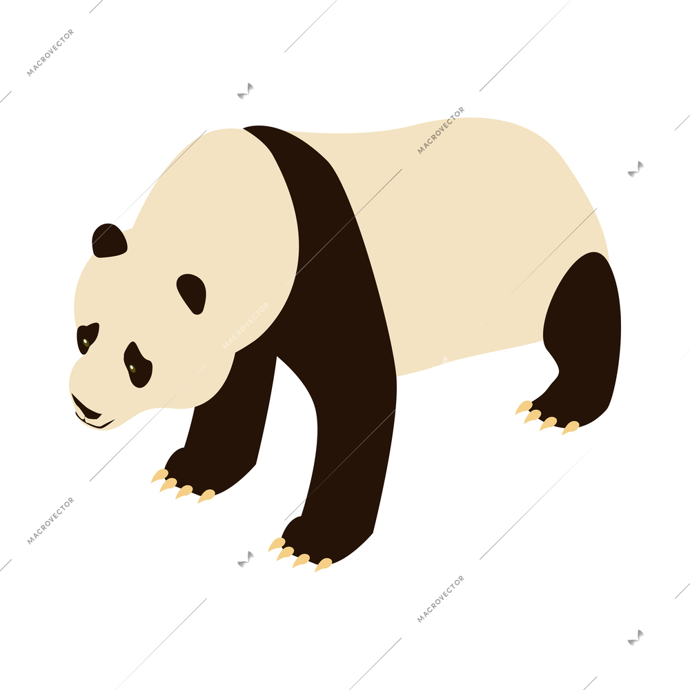 Isometric cute panda on white background 3d vector illustration