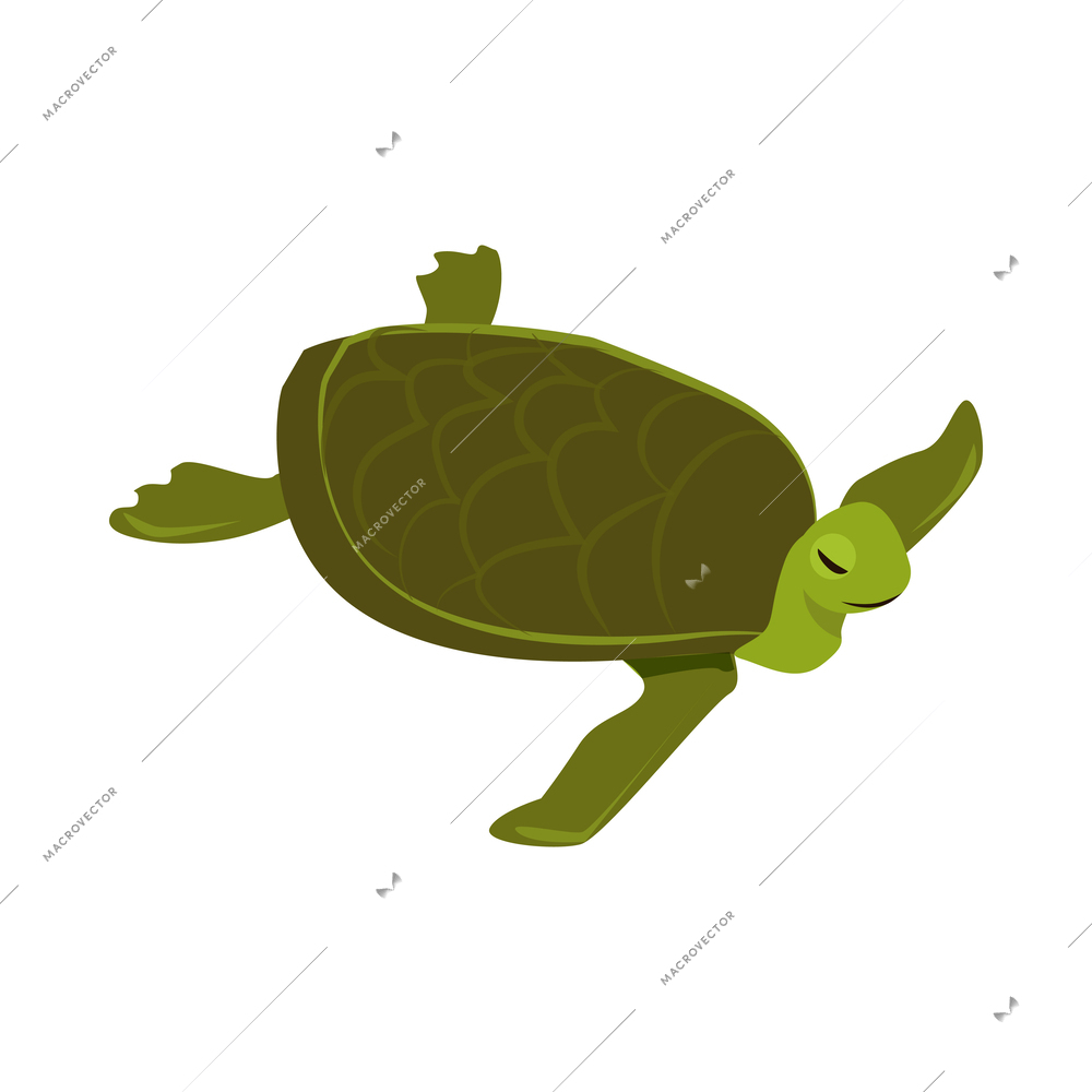 Green tortoise isometric icon 3d vector illustration