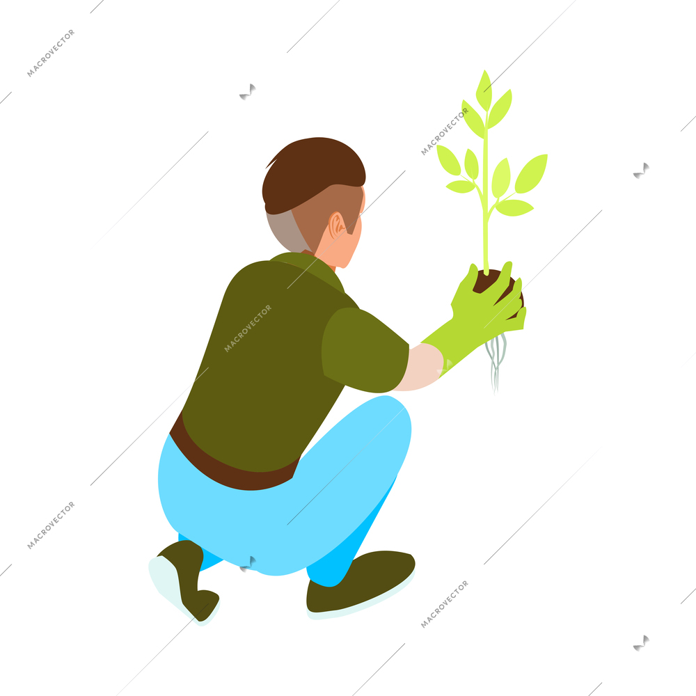 Isometric gardener in gloves planting green sprout 3d vector illustration