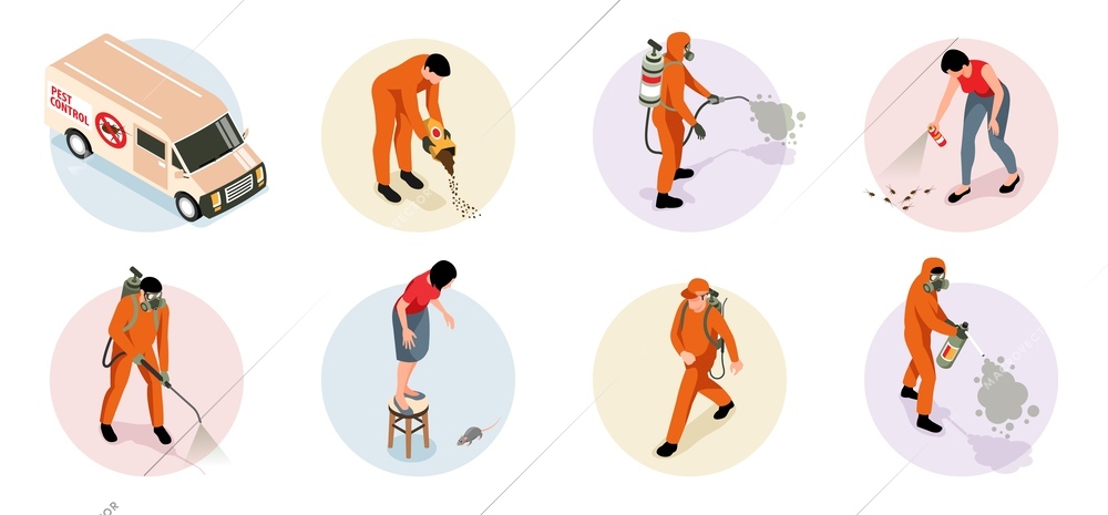 Pest control service compositions set of professional workers in uniform exterminating insects and rodents isolated isometric 3d vector illustration