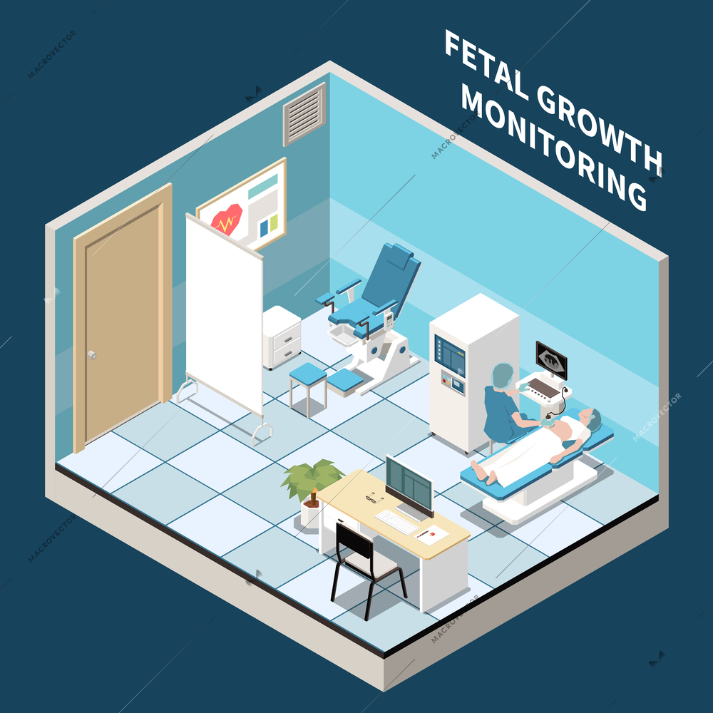 In vitro fertilization isometric composition with doctor performing fetal growth monitoring using ultrasound equipment vector illustration