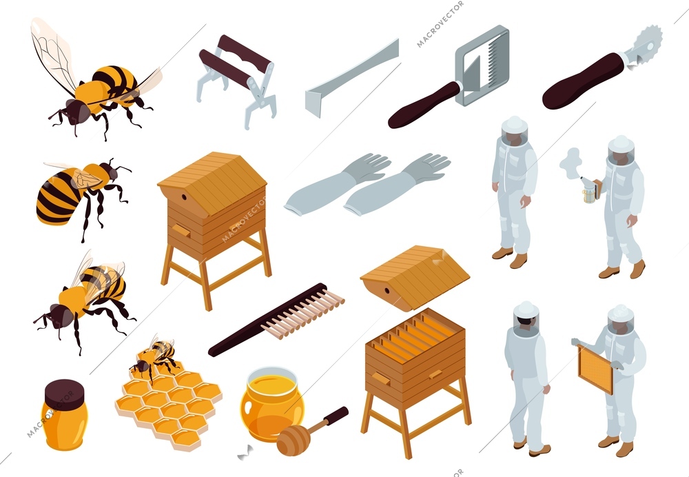 Isometric beekeeping apiary isometric set with bees jars of honey hives and beekeepers isolated vector illustration