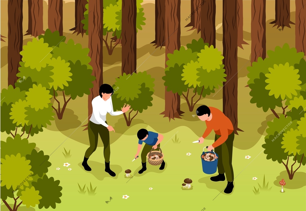 Isometric mushroom pickers composition with outdoor landscape background of wild forest with three friends searching mushrooms vector illustration