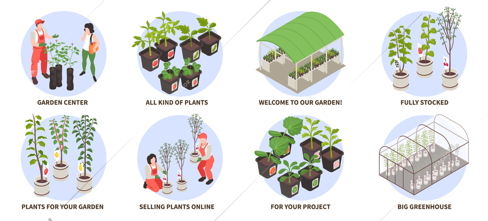 Isometric nursery garden icons set with gardeners and plants in greenhouse isolated vector illustration