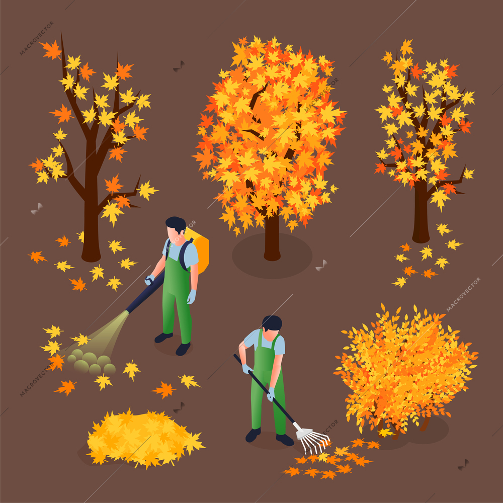 Cleaning autumn foliage isometric vector illustration with two male workers collecting fallen leaves from trees with vacuum cleaner and rake