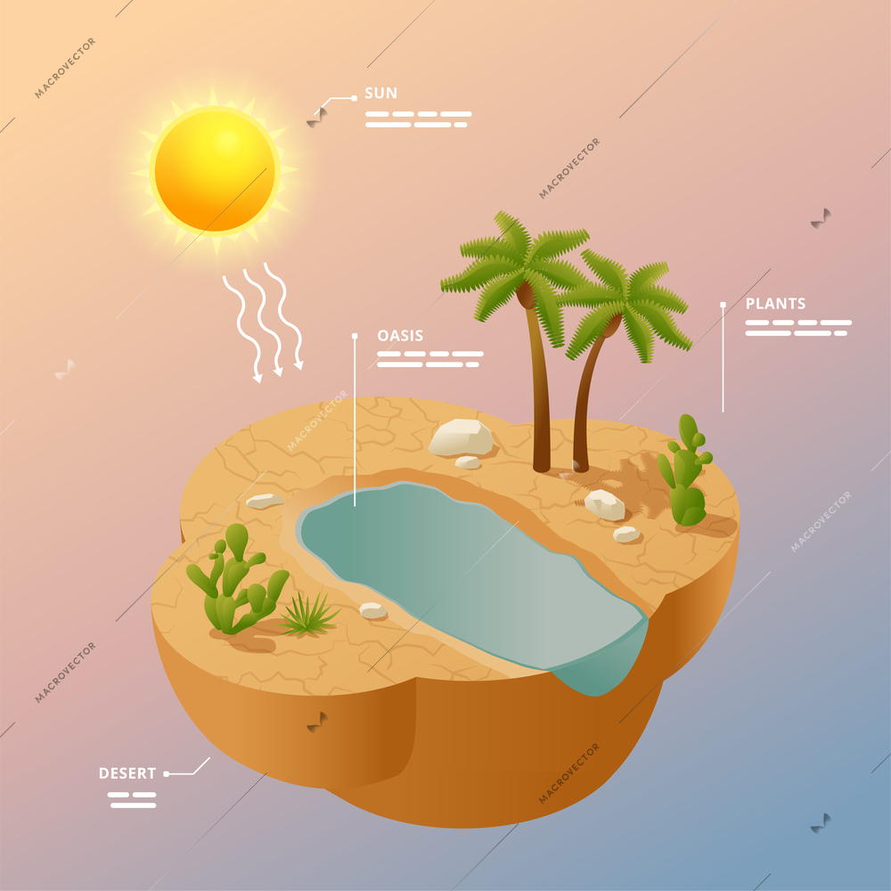 Desert landscape isometric infographics poster with sun oasis in sands and south plants vector illustration