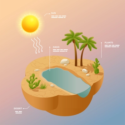 Desert landscape isometric infographics poster with sun oasis in sands and south plants vector illustration