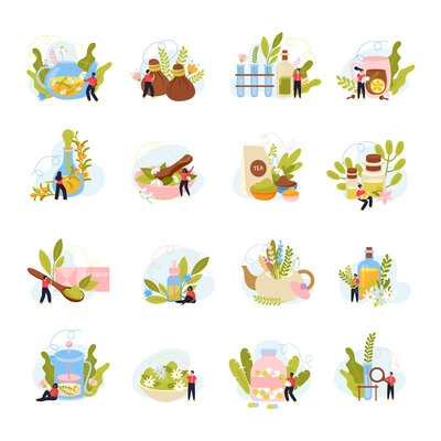 Herbal flat icons set of natural flowers and leaves used for preparation of healthy drinks and medicines production isolated vector illustration