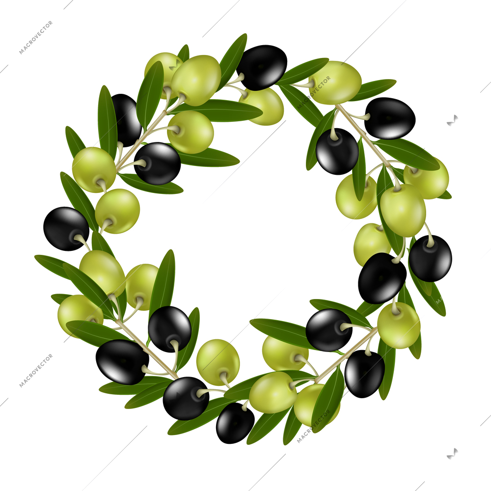 Realistic black and green olives wreath with leaves against white background vector illustration