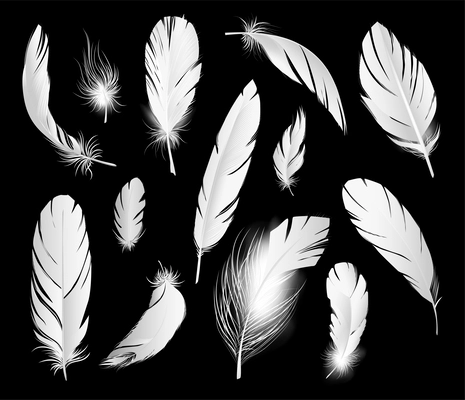 Realistic feathers set with isolated images of birds feathers colored in white with shiny light spots vector illustration