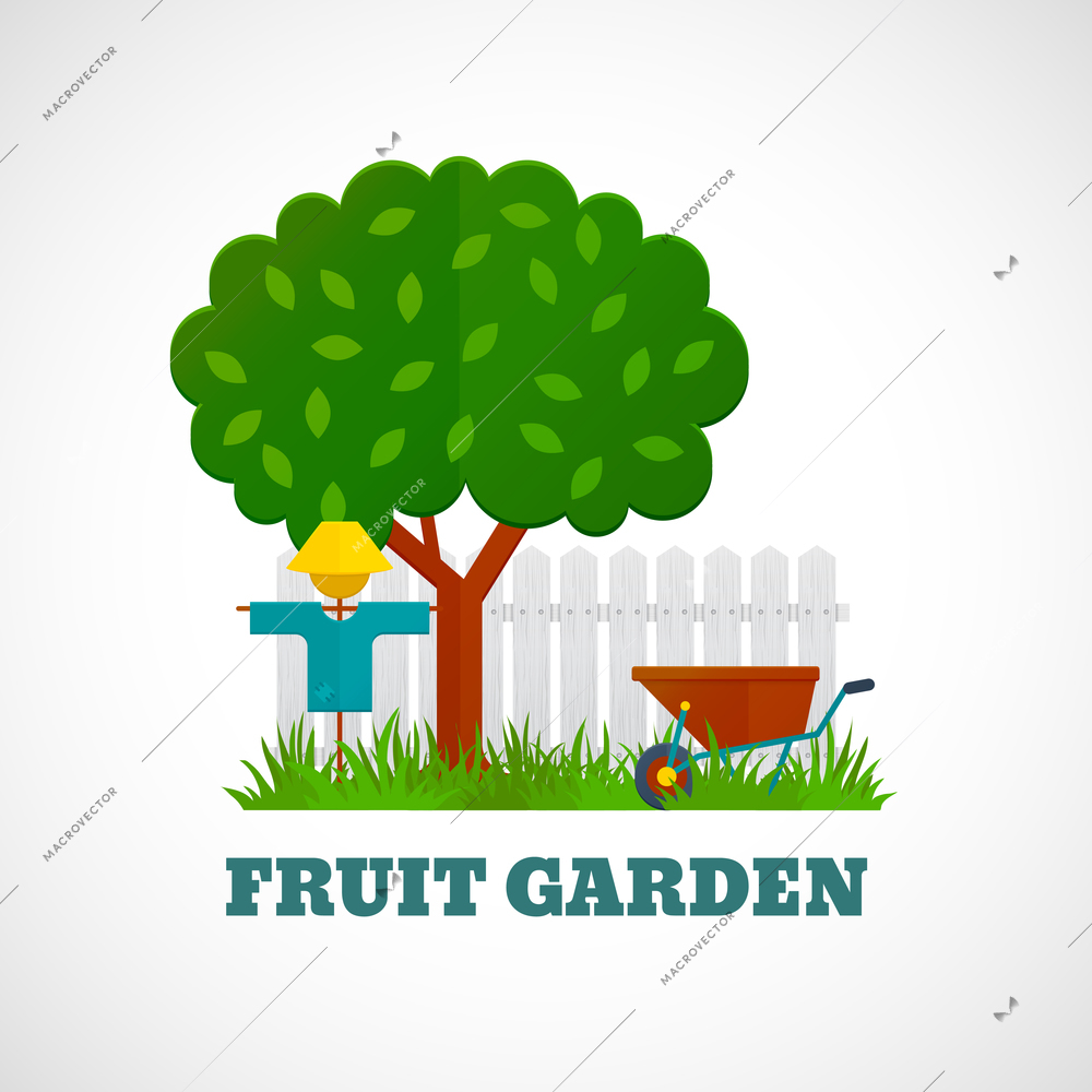 Fruit garden poster with tree scarecrow wheelbarrow on the lawn and fence vector illustration