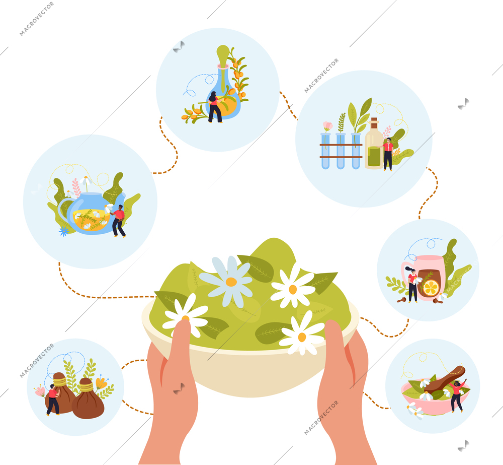 Herbal medicine flat composition with human hands holding bowl filled with chamomile flowers in center and herb icons around vector illustration