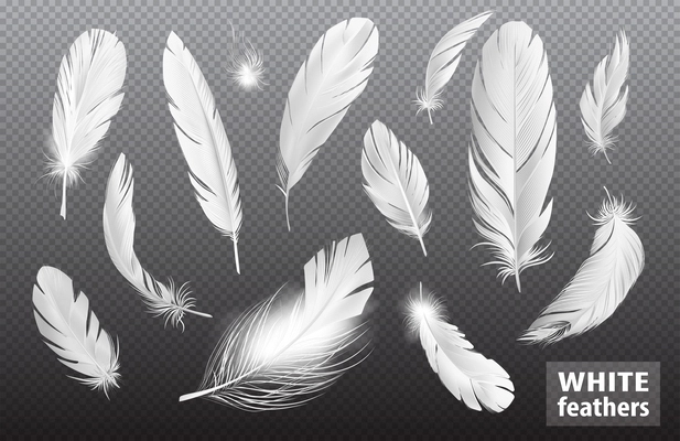 Realistic feathers transparent set with isolated images of fluffy bird feathers pure and shiny with text vector illustration