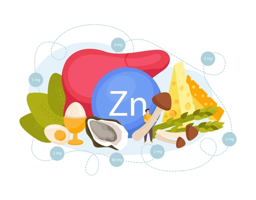 High zinc food flat composition with cheese asparagus liver eggs oyster mushrooms spinach vector illustration