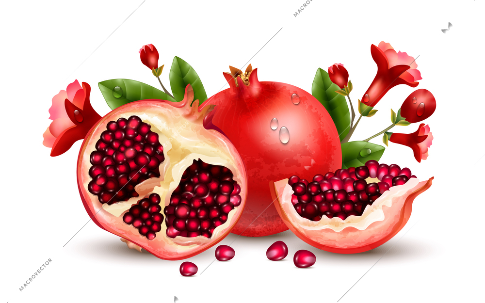 Pomegranate realistic concept with healthy food symbols vector illustration