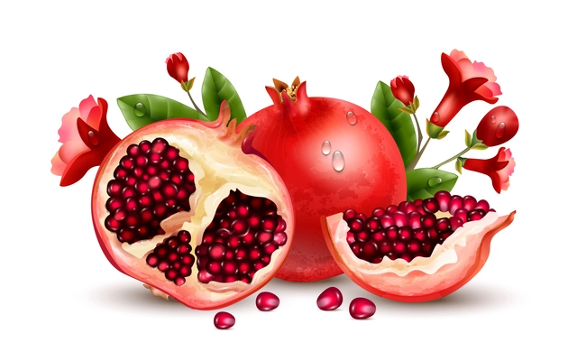 Pomegranate realistic concept with healthy food symbols vector illustration