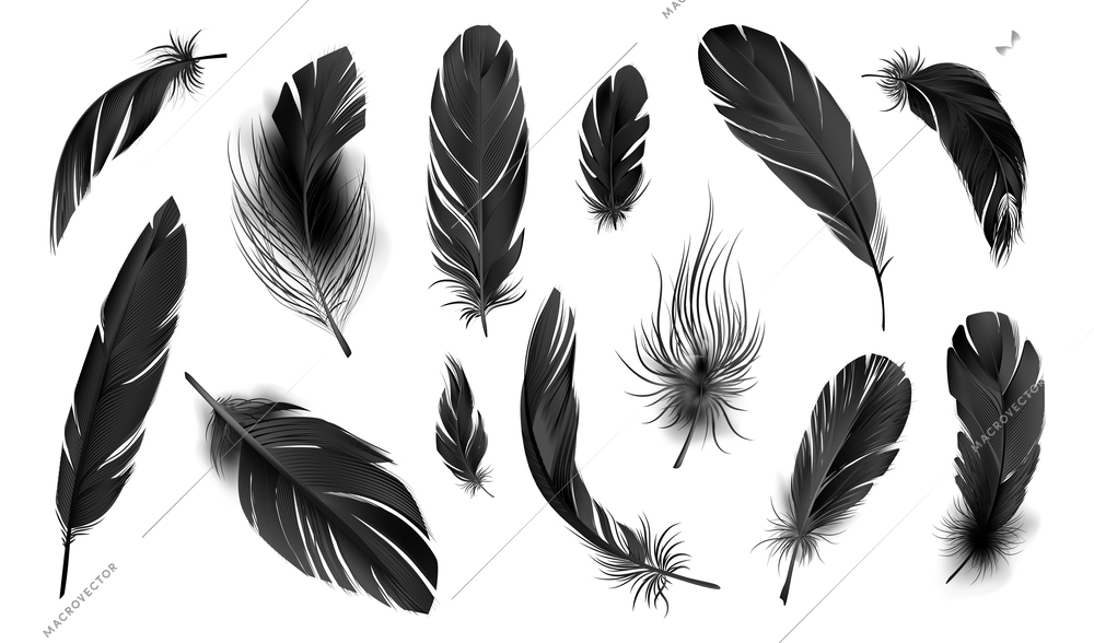 Set with isolated monochrome images of realistic feathers of bird colored in black on blank background vector illustration