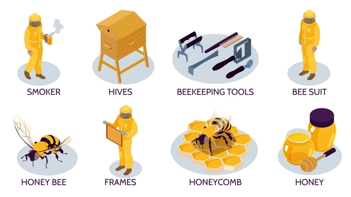 Beekeeping isometric isolated compositions set with honey bee hives beekeepers in protective suits using various tools 3d vector illustration