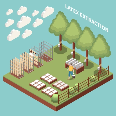 Latex extraction and formation isometric background  with worker collecting natural lacteal juice from rubber trees vector illustration