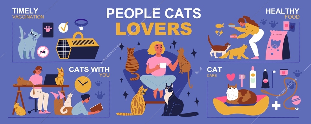 Cats lovers infographic set with timely vaccination symbols flat vector illustration