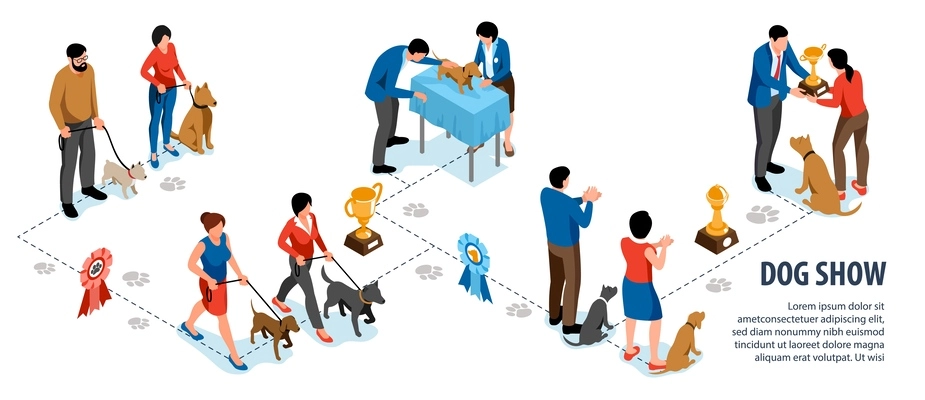 Isometric dog show infographics with editable text and flowchart of images with showcase winners and trophies vector illustration