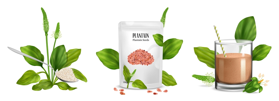 Realistic psyllium concept set with superfood flour bag and plants isolated vector illustration