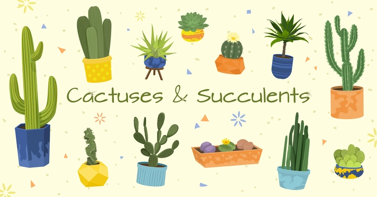 Cactuses flat composition set with different sizes and types of cactuses and succulents in pots vector illustration