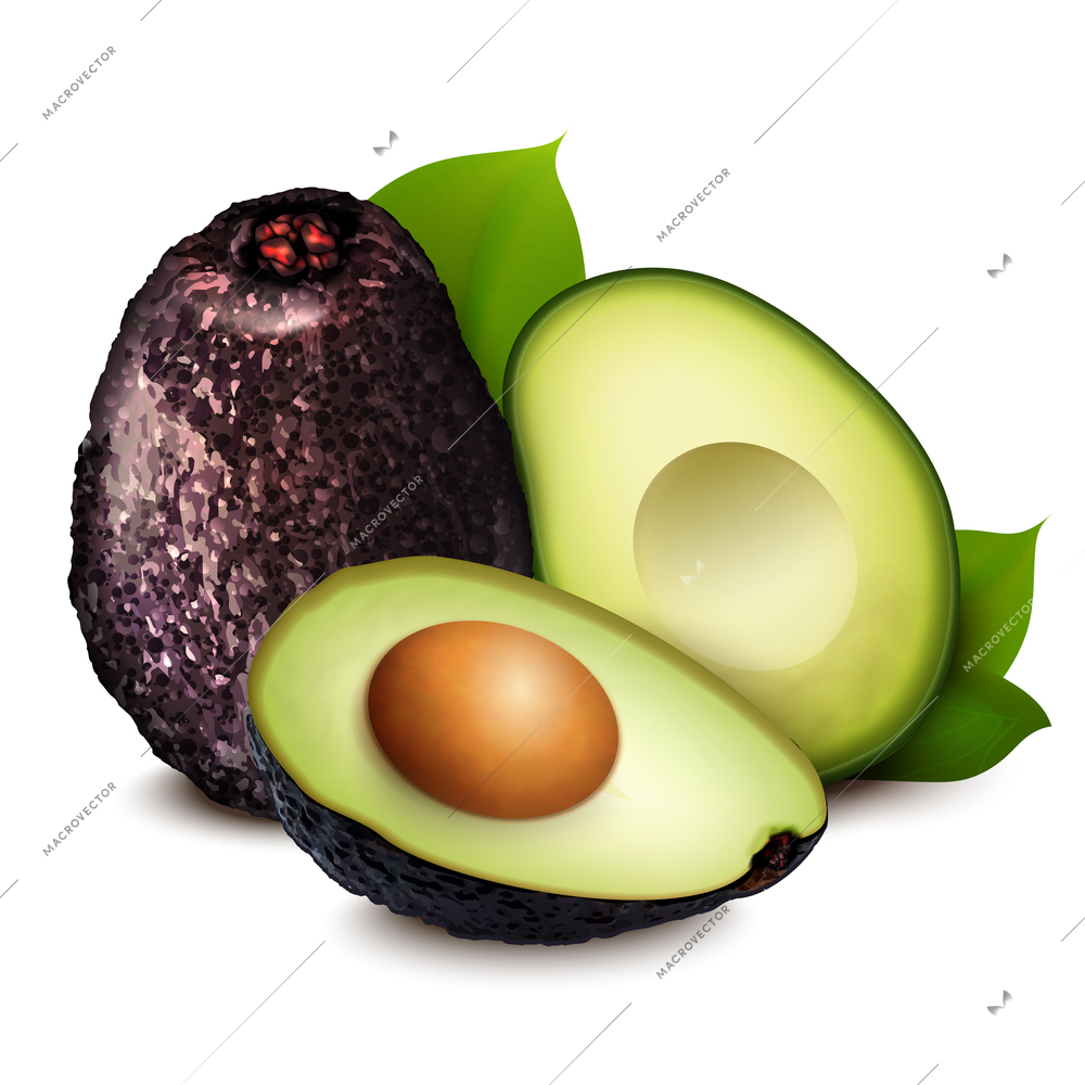 Whole and halved avocado with seed and green leaves realistic composition vector illustration