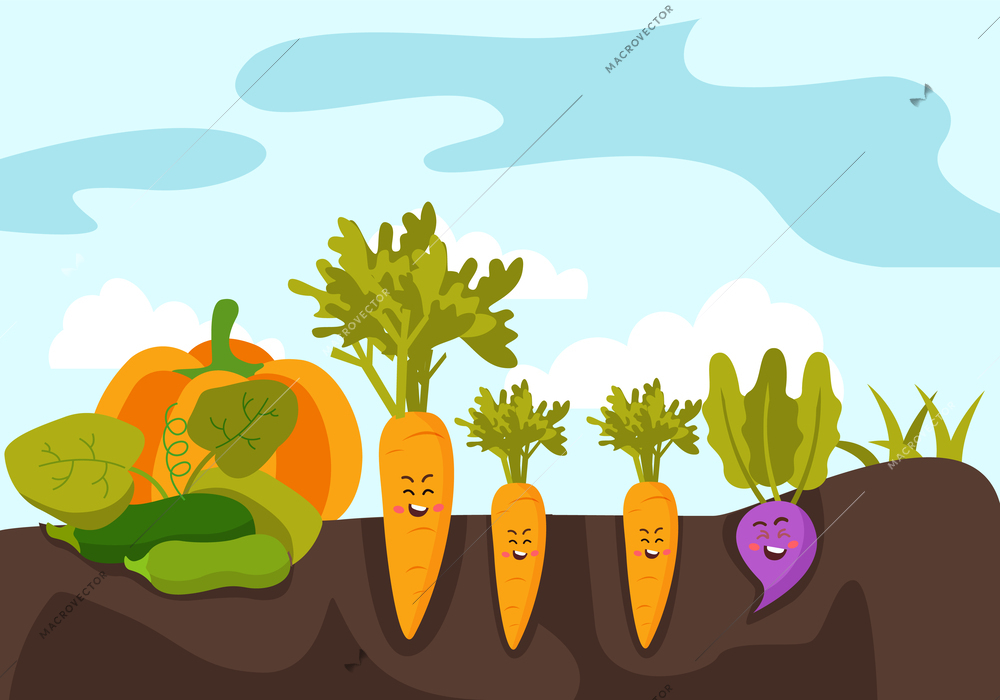 Vegetables growing in garden bed cartoon background with  carrot radish pumpkin and zucchini flat vector illustration