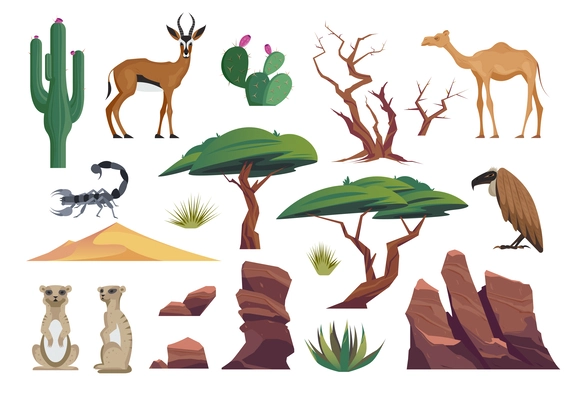 Desert animal set with isolated icons of sands cacti bushes trees wild animals bird and scorpio vector illustration