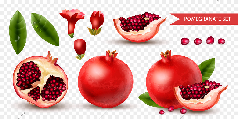 Realistic pomegranate icons set with whole and cut fruit on transparent background isolated vector illustration