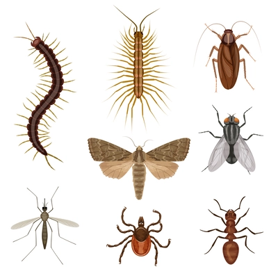 Harmful insects cartoon icon set polypods flies worms mites cockroaches and ants vector illustration