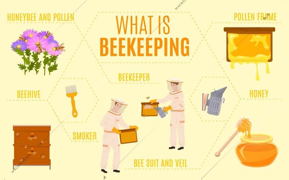 Beekeeping flat infographics with isolated icons of beehives pollen frames with characters of beekeepers and text vector illustration