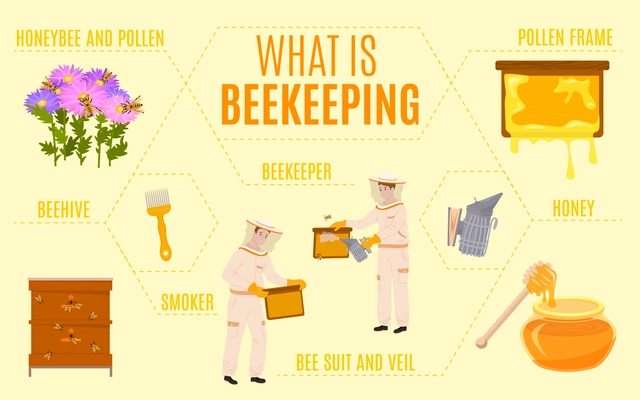 Beekeeping flat infographics with isolated icons of beehives pollen frames with characters of beekeepers and text vector illustration
