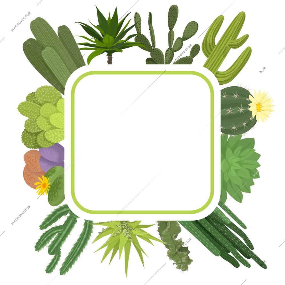 Cactuses flat composition or frame large and small with and without flowers vector illustration