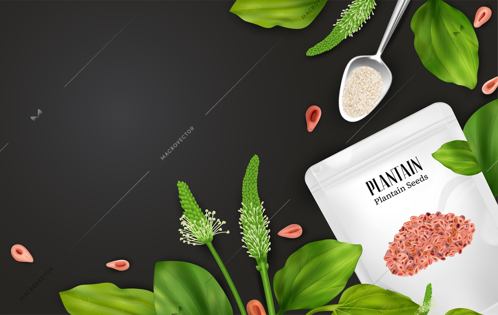 Realistic psyllium plant with plantain flour bag on black board background vector illustration