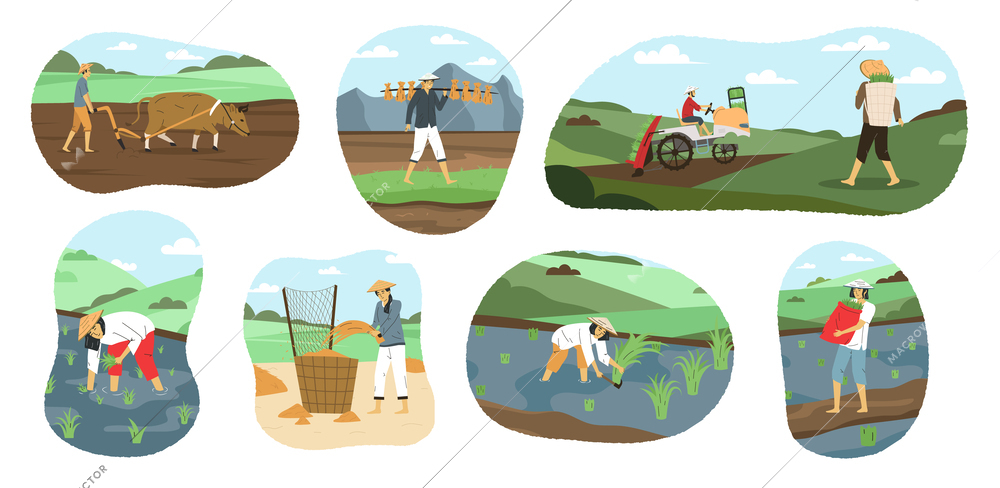 Male and female asian farmers ploughing and harvesting flat compositions set isolated vector illustration
