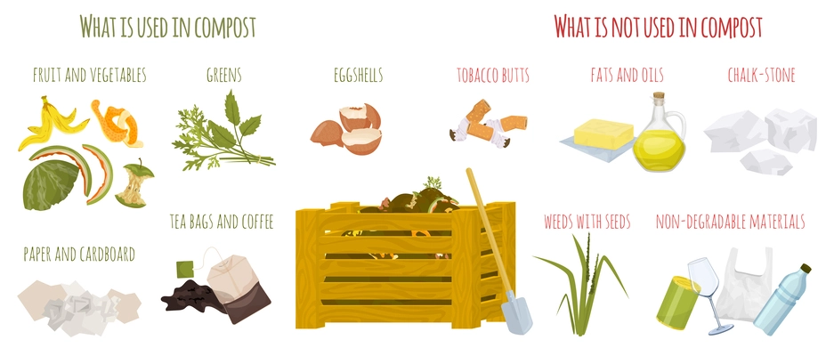 Compost composting flat infographic with what is used in compost and what is not descriptions vector illustration