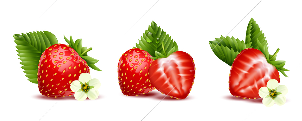 Red strawberry berries with blossomed flowers and green leaves three realistic compositions isolated on white background vector illustration