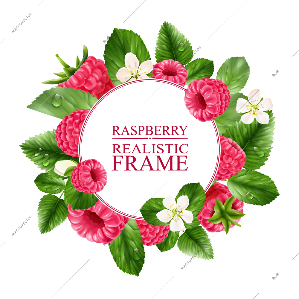 Raspberry realistic round frame consisting of ripe tasty berries flowers and green leaves on white background vector illustration