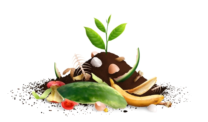 Food waste realistic set with isolated view of food scraps pile and sprout growing from it vector illustration